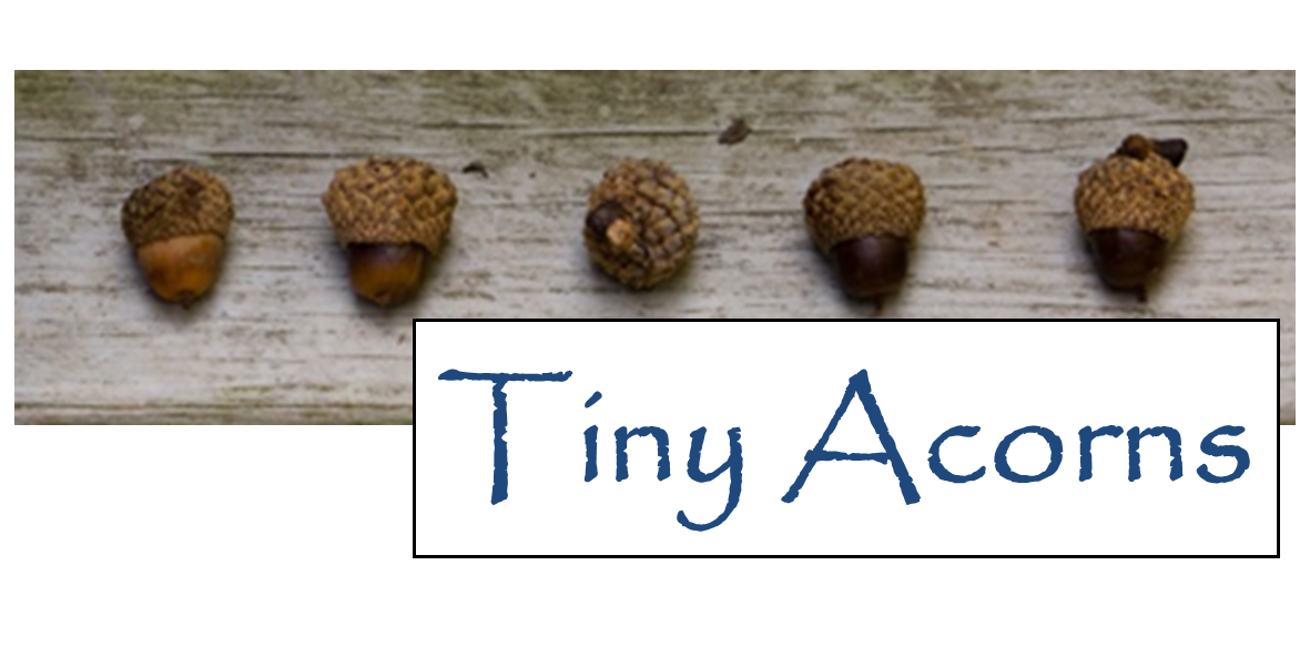 Tiny Acorns